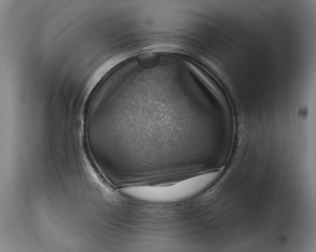 X0000115381418200911241253