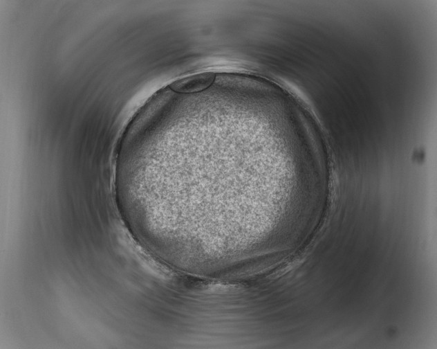 X0000115381419200911241253