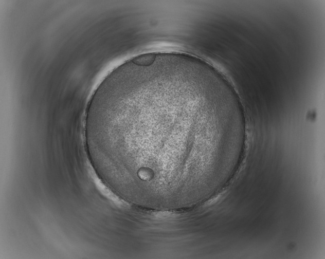 X0000115381421200911241253