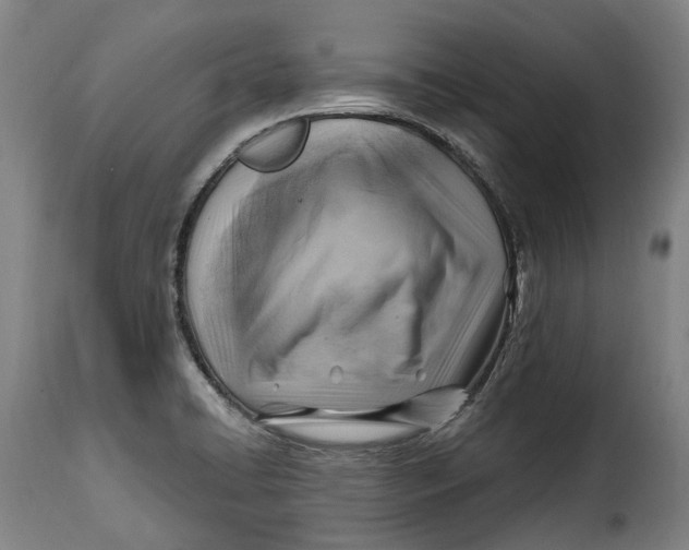 X0000115381422200911241253