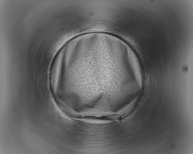 X0000115381423200911241253