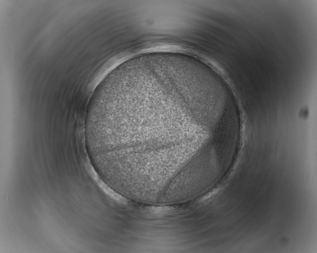 X0000115381425200911241253