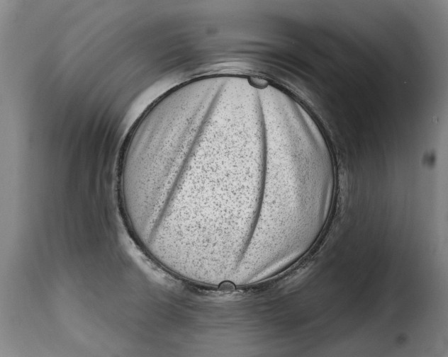 X0000115381426200911241253