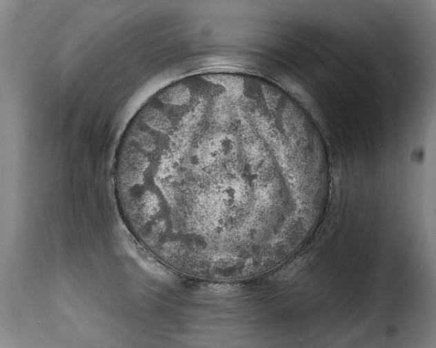 X0000115381427200911241253