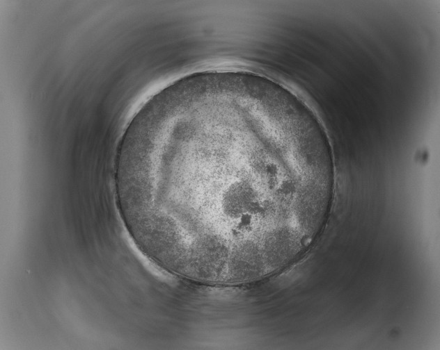 X0000115381429200911241253