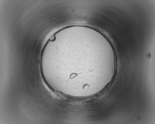 X0000115381432200911241253