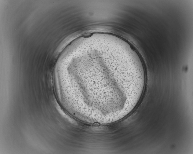 X0000115381433200911241253