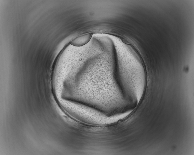 X0000115381434200911241253