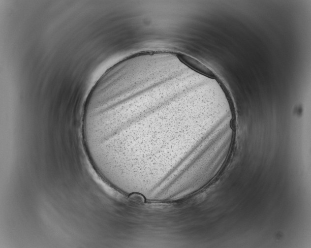 X0000115381437200911241253