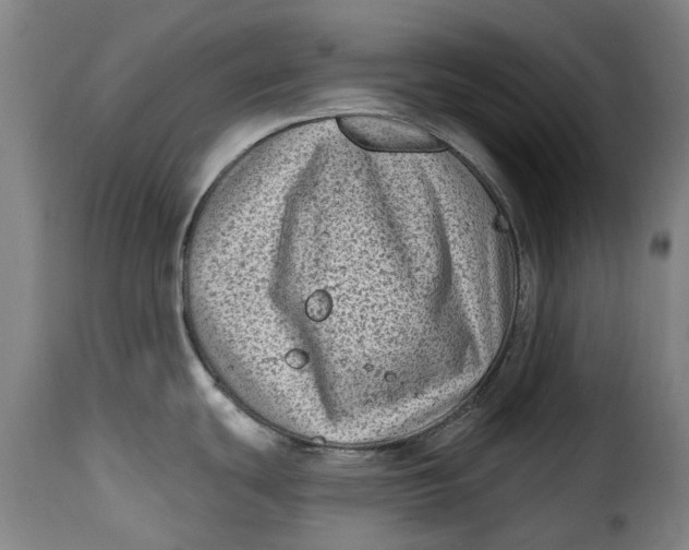 X0000115381439200911241253