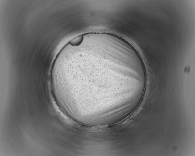 X0000115381440200911241253