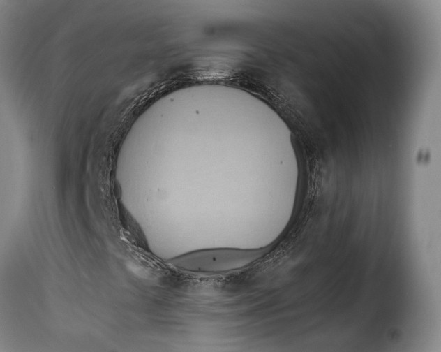 X0000115381441200911241253