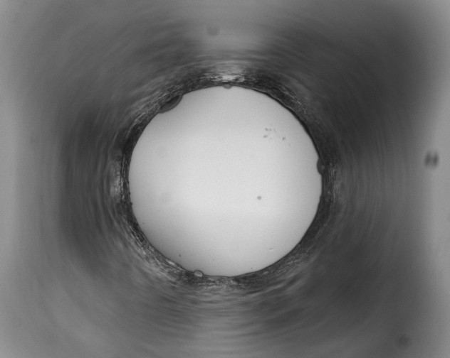 X0000115381442200911241253