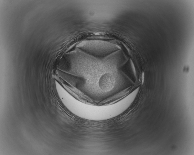 X0000115381443200911241252