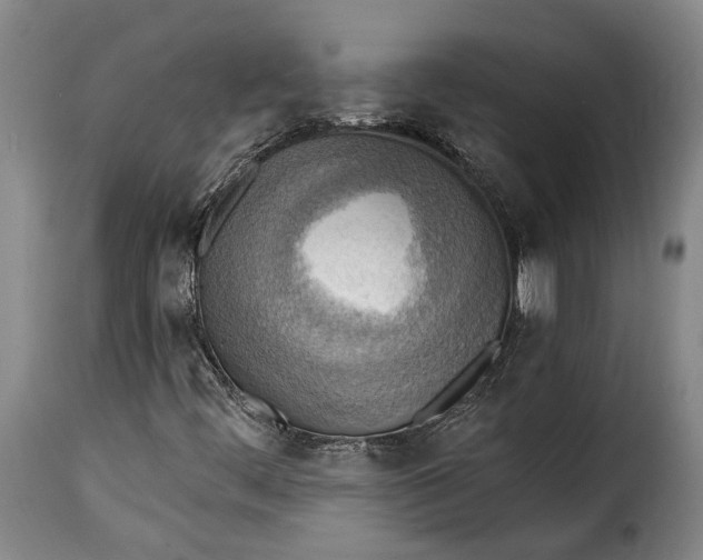 X0000115381444200911241252