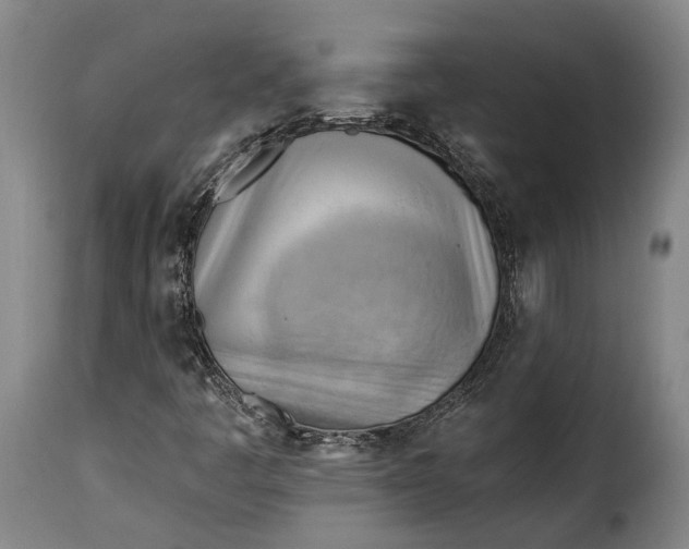 X0000115381445200911241252