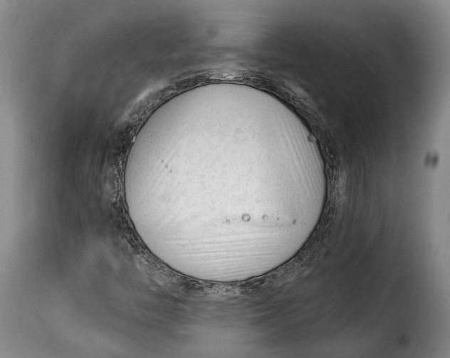 X0000115381446200911241252