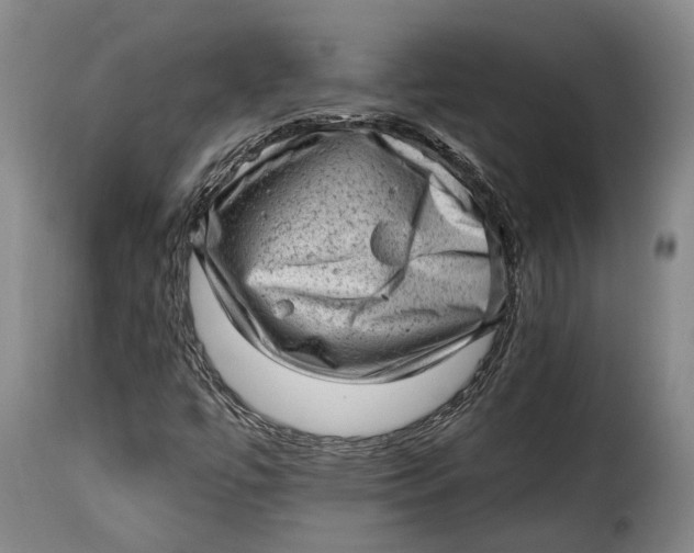 X0000115381447200911241252