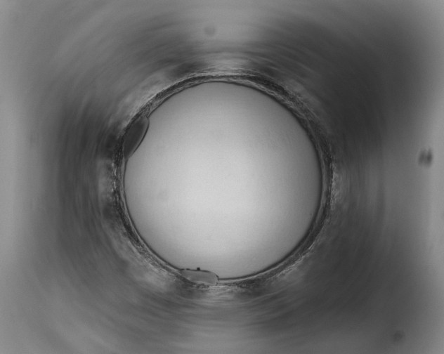 X0000115381449200911241252