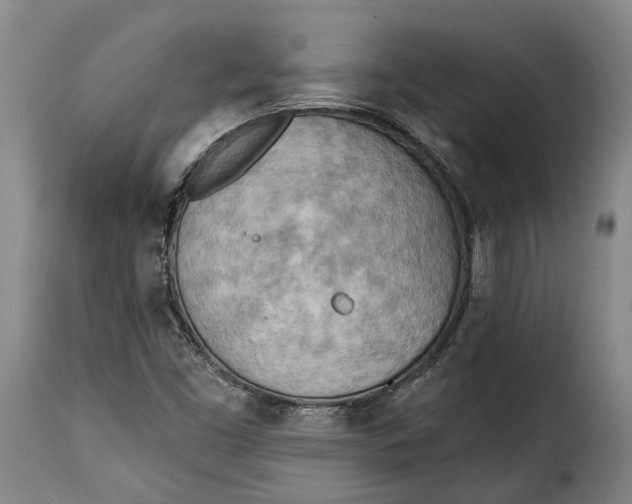 X0000115381453200911241252