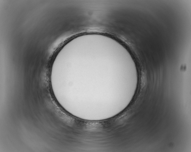 X0000115381454200911241252