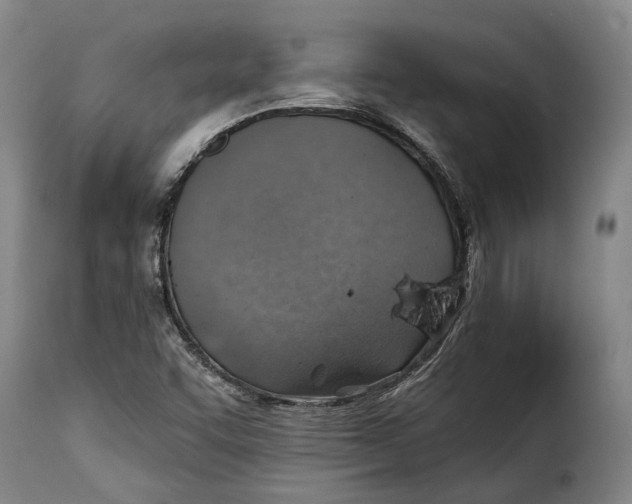 X0000115381455200911241252