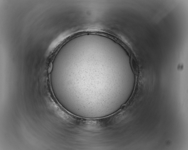 X0000115381456200911241252