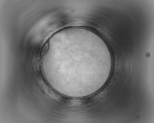 X0000115381457200911241252