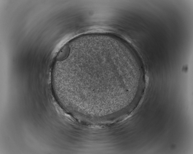 X0000115381459200911241252