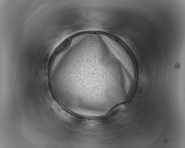 X0000115381460200911241252