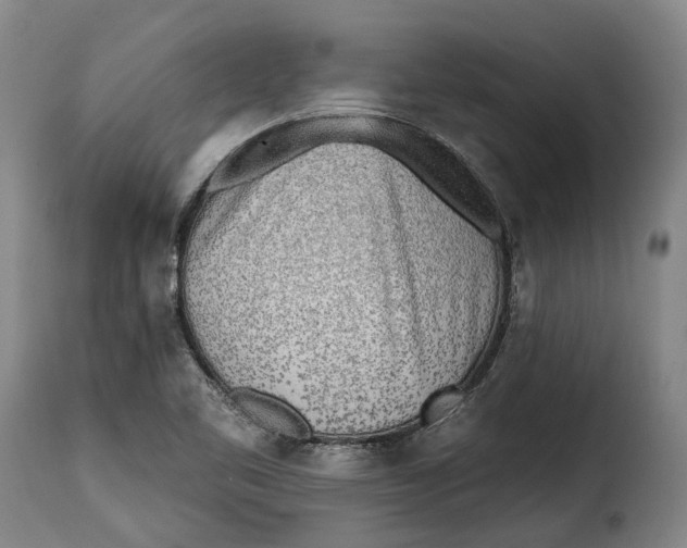 X0000115381461200911241252