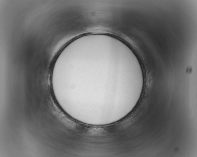 X0000115381462200911241252