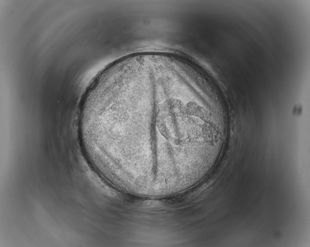 X0000115381463200911241252