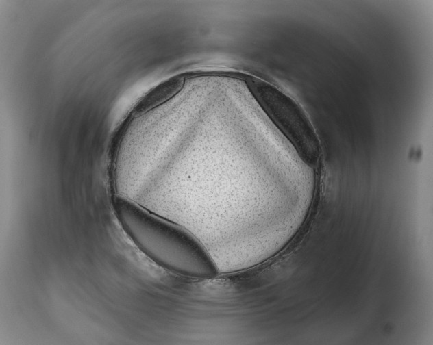 X0000115381464200911241252