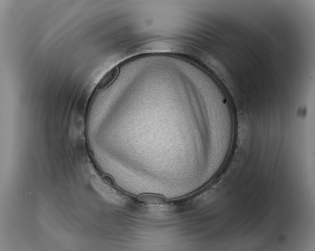 X0000115381465200911241252