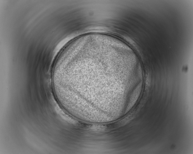 X0000115381466200911241252