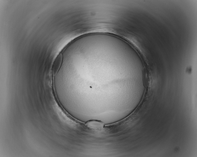 X0000115381468200911241252