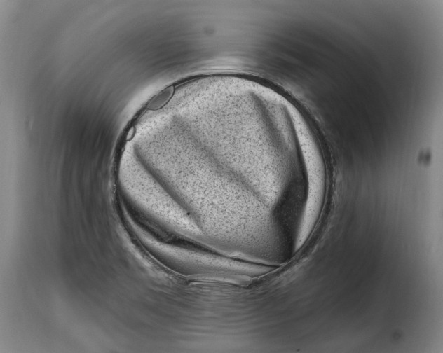 X0000115381469200911241252