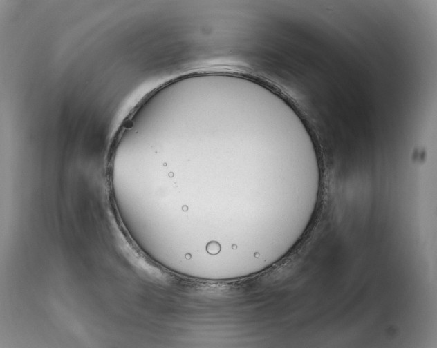 X0000115381470200911241252