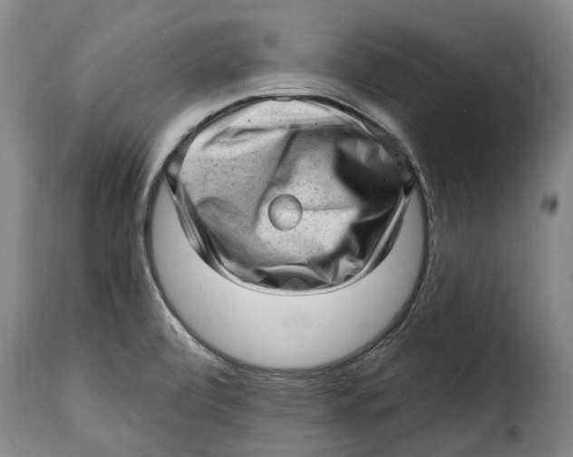 X0000115381472200911241252