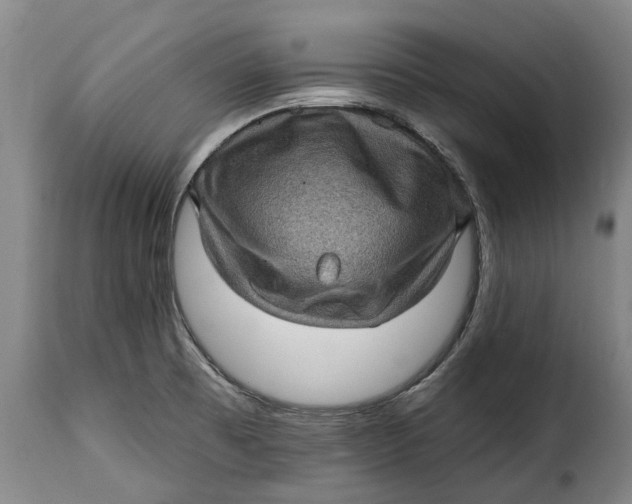 X0000115381473200911241252