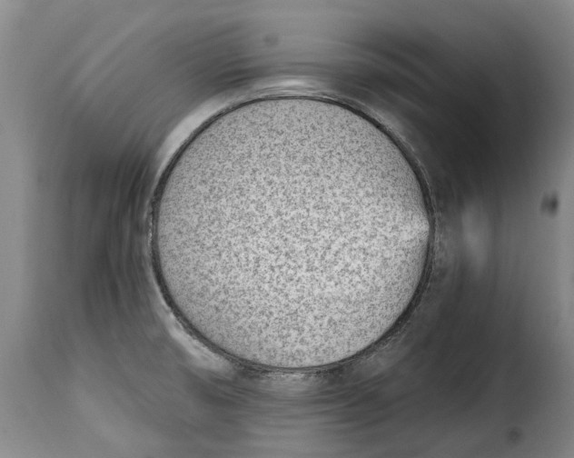 X0000115381474200911241252