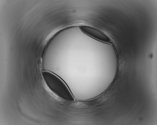 X0000115381476200911241252