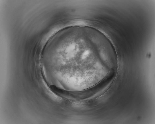 X0000115381477200911241252