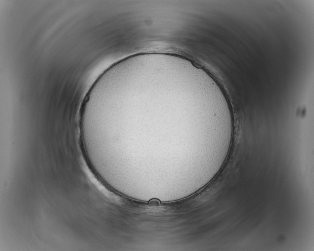 X0000115381479200911241252