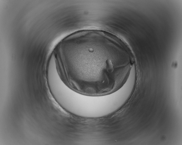 X0000115381480200911241252