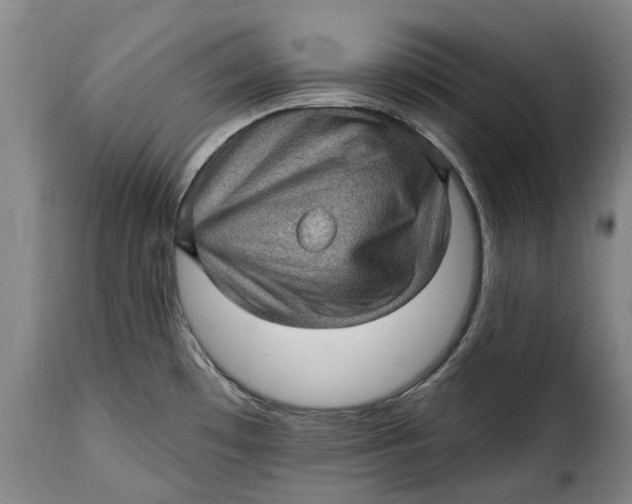 X0000115381481200911241252