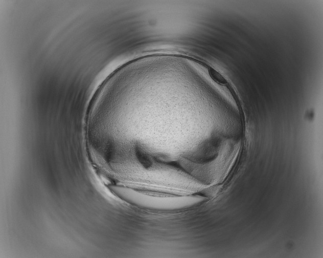 X0000115381482200911241252