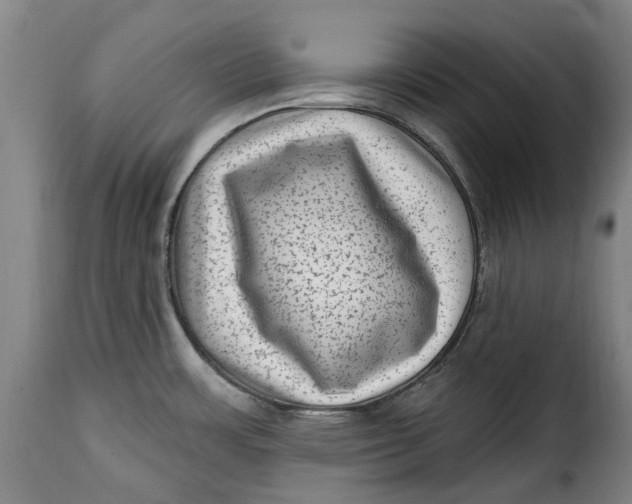 X0000115381483200911241252