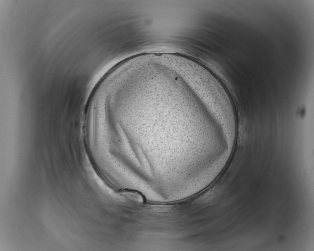 X0000115381484200911241252